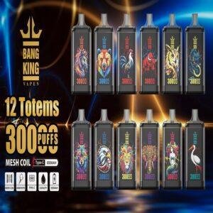 Bang King 30000 Puffs Totem Disposable Vape 2 Animal Totem Designs 650mAh Mesh Coil Type-C Rechargeable