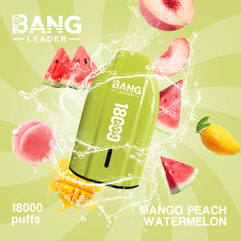 BANG LEADER 18000 Puffs Rechargeable Disposable Vape Mesh Coil High Puff Count TypeC Recharge - Image 2