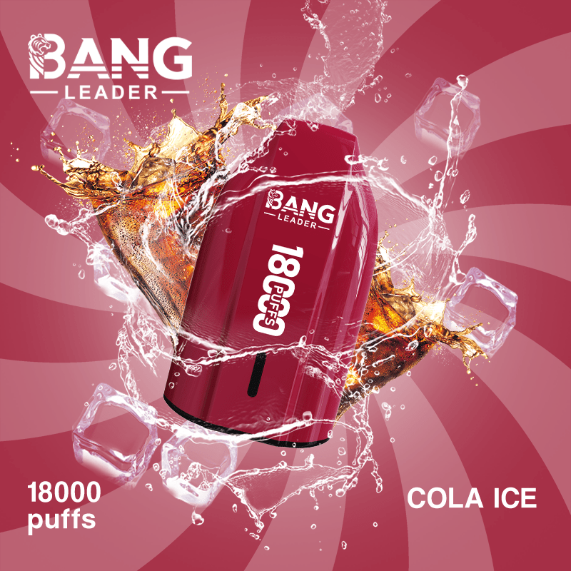 BANG LEADER 18000 Puffs Rechargeable Disposable Vape Mesh Coil High Puff Count TypeC Recharge - Image 4