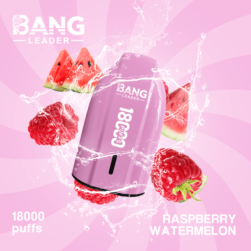 BANG LEADER 18000 Puffs Rechargeable Disposable Vape Mesh Coil High Puff Count TypeC Recharge - Image 8