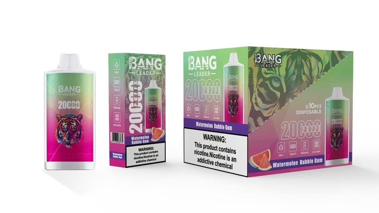 BANG LEADER 20000 Puffs Rechargeable Disposable Vape Massive 28mL E-liquid Dual Mesh Coil 650mAh Battery - Image 4
