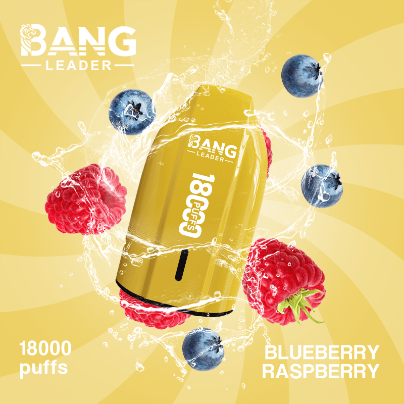 BANG LEADER 18000 Puffs Rechargeable Disposable Vape Mesh Coil High Puff Count TypeC Recharge - Image 7