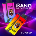 Bang Leader 30000 Puffs Disposable Vape | Smart LED Screen & Mesh Coil | Bulk Buy Bang Vape Europe & UK