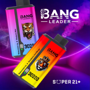 Bang Leader 30000 Puffs Disposable Vape | Smart LED Screen & Mesh Coil | Bulk Buy Bang Vape Europe & UK