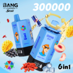 Bang Leader Stoll 300000 Puffs 6-in-1 Disposable Vape | Multi-Flavor Rotation & Smart LED Screen | Bulk Wholesale Europe