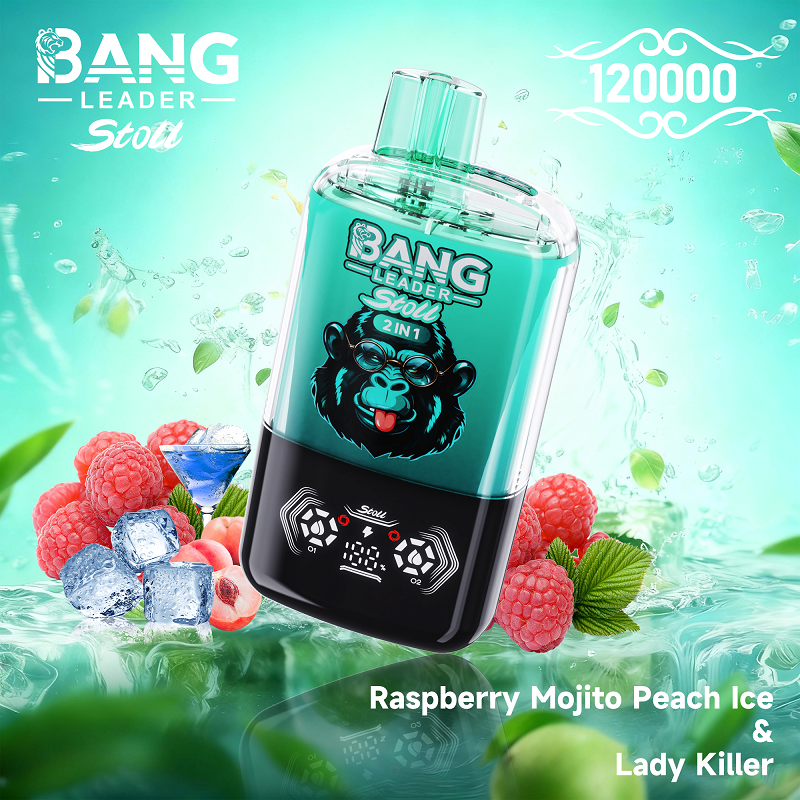 Bang Leader 120000 Puffs Disposable Vape | 2-in-1 Dual Flavor Switch & Smart LED Display | 120K High Capacity Rechargeable Vape - Image 6