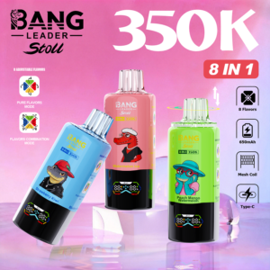 Bang Leader Stoll 350000