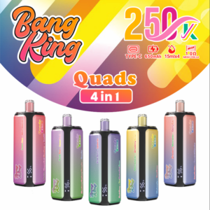 bang king 250000 puff