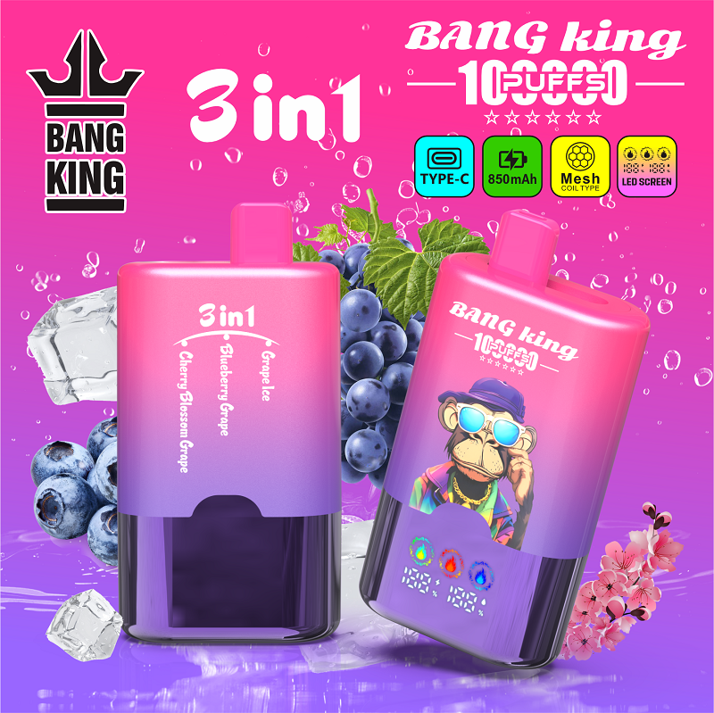 Bang King 100,000 Puffs 3-in-1 Disposable Vape - 100K Puffs with Triple Flavor Switch & LED Screen | Europe Wholesale - Image 6