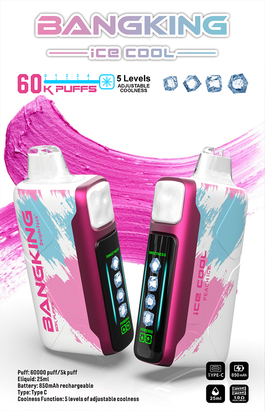Bang King Ice Cool 60000 Puffs Disposable Vape - 5 Levels Adjustable Coolness & LED Display | Rechargeable 60k Puffs - Image 2