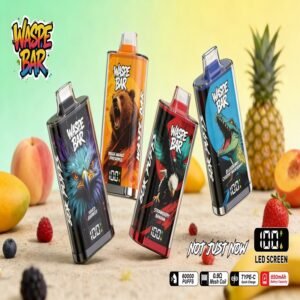 WASPE Bar 60000 Puffs